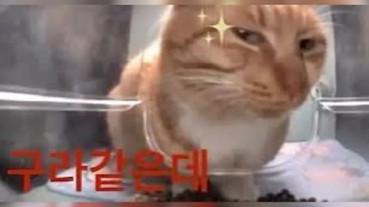 Pasted image 20260326000727.png